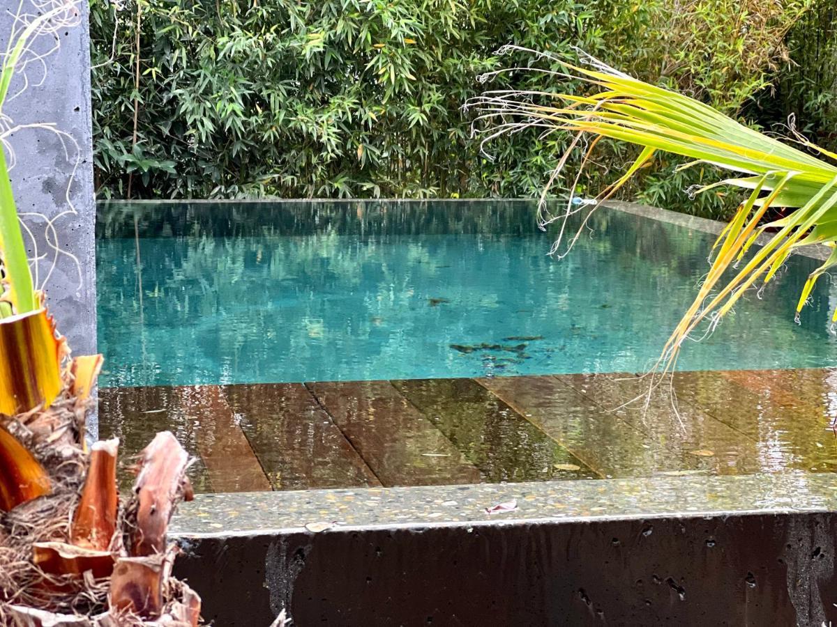 גוז'אן-מסטרה La Villa Canopee - Piscine Chauffee-Fibre-Clim-Jacuzzi מראה חיצוני תמונה